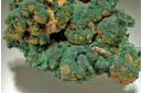 Pyromorphite on Malachite