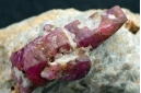 Ruby (Var. of corundum)