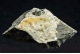 Datolite