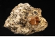 Monazite-(Ce)