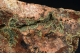 Pharmocosiderite