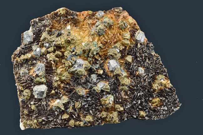 Galena, Chalcopyrite & Siderite