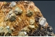 Galena, Chalcopyrite & Siderite