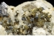 Galena and chalcopyrite and quartz