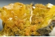 Wulfenite