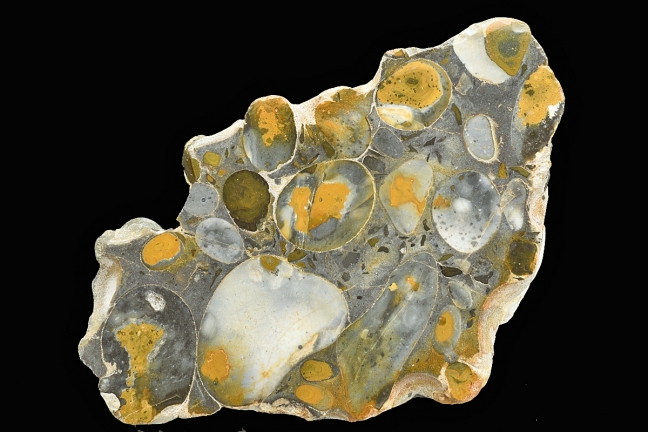 Hertfordshire Puddingstone