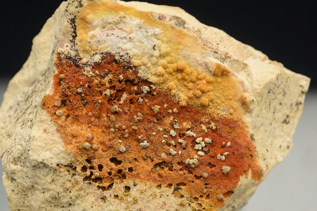 Descloizite, Vanadinite & Phosphohedyphane