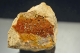 Descloizite, Vanadinite & Phosphohedyphane