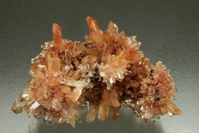 Creedite