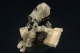 Goshenite with Schorl (Var. of Tourmaline)