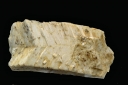 Orthoclase