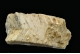 Orthoclase