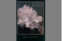 UK Journal of Mines & Minerals No. 17