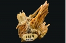 Cerussite