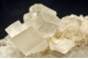 Calcite and Dolomite