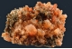 Creedite