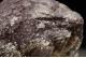 Lepidolite