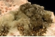 Hemimorphite and Barite