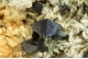 Anatase on Albite