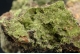 Pyromorphite