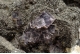 Cerussite and Fluorite on Galena