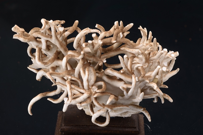 Aragonite Var. Flos Ferri