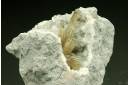 Barite