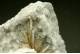 Barite