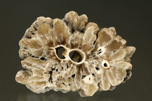 Barite - stalagmite cross-section