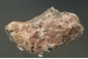 Selenite `Daisy bed Gypsum`