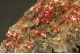 Wulfenite