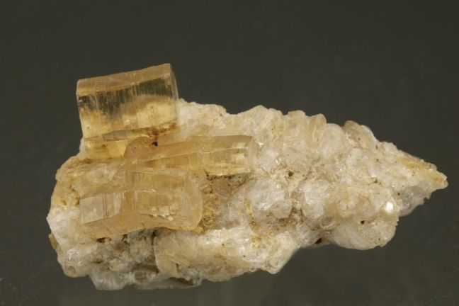 Phlogopite