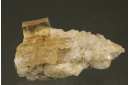 Phlogopite