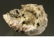 Smithsonite