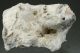 Alstonite